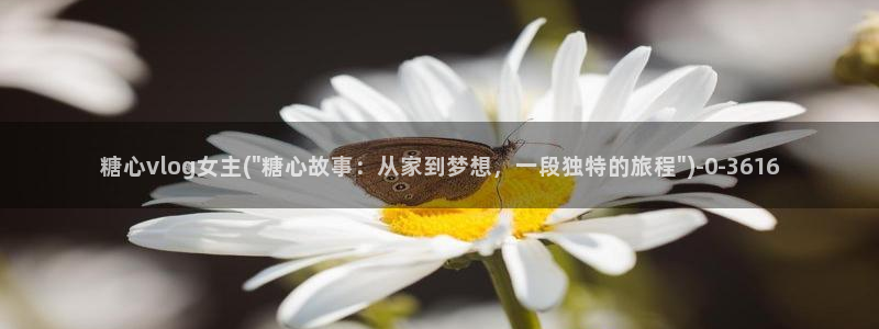 糖心vlove：糖心vlog女主(\