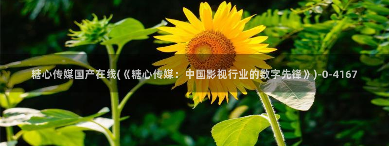 糖心vlgo免费水冰月：糖心传媒国产在线(《糖心传媒：中国影