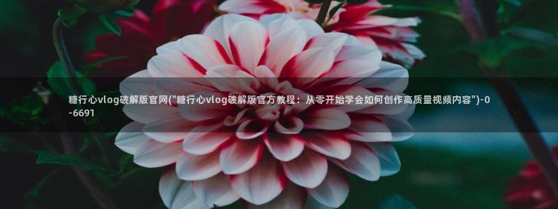 糖心vlgo二维码：糖行心vlog破解版官网(\